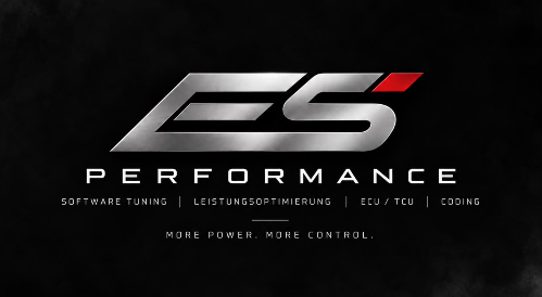 ES Performance logo